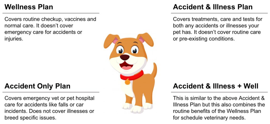 Massachusetts pet insurance plan types